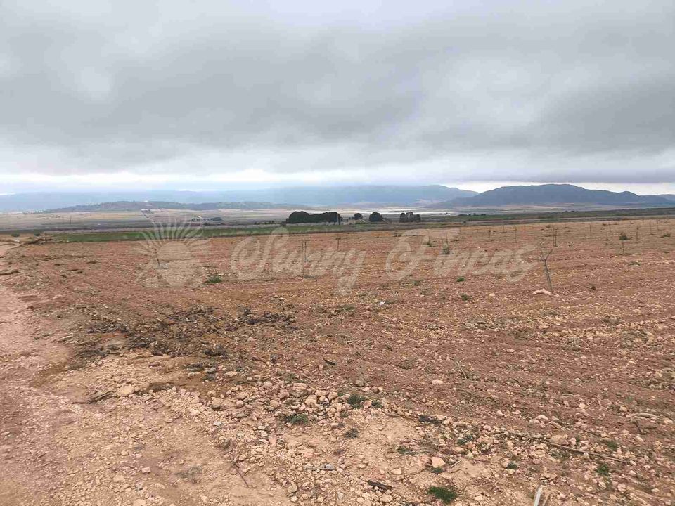 Helårsgrund i Yecla, Murcia - foto 3